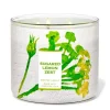 Sugared Lemon Zest – candle  CLOUD