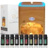 Himalayan Pink Salt Diffuser C 400ml Ultrasonic Atomizer and Ionizer with Ambient Light