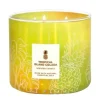 Tropical Island colada 3 Wick Candle 14.5 oz.