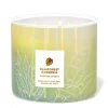 Rainforest Gardenia 14.5oz – candles  CLOUD