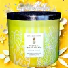 TROPICAL ISLAND COLADA 3 WICK CANDLE 14.5 OZ US US Seller