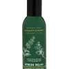 Eucalyptus Spearmint   Concentrated Room Spray