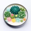 Cactus Terrarium Candle & Gift Box