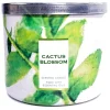 Cactus Blossom 3 Wick Candle Tropical Design / Homestyle Lid