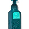 Frozen Lake   Gentle & Clean Foaming Hand Soap