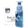 Crisp Morning Air Foaming Hand Soap & PocketBac Gift Set of 2