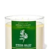 AromatherapyEucalyptus Spearmint3-Wick Candle