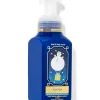 Winter   Gentle & Clean Foaming Hand Soap