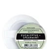 Eucalyptus SpearmintCar Fragrance Refill