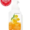 Kitchen LemonGentle & Clean Foaming Hand Soap