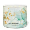 Eucalyptus Springs 14.5oz – candles  CLOUD