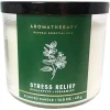 Aromatherapy Stress Relief 3-Wick Candle, Eucalyptus Spearmint