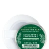 Eucalyptus Spearmint   Car Fragrance Refill